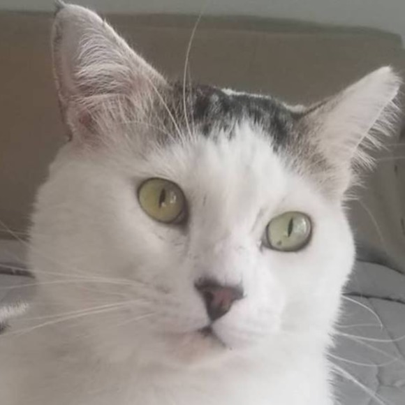 Meet your Posher, Sue - Picture 2 of 8